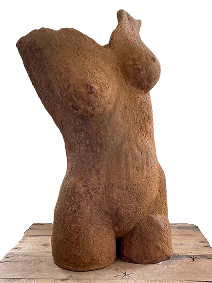 Torso